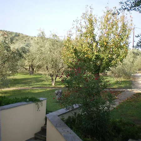 Christina Amaliapoli